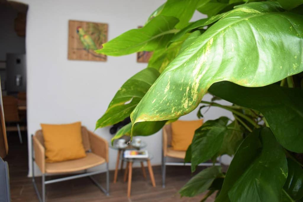 La Casa Vieja Villa Arafo Екстериор снимка